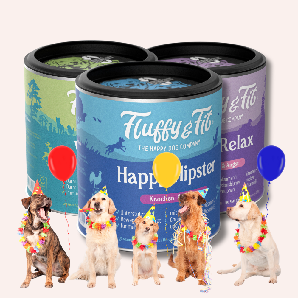 Best Friends Bundle