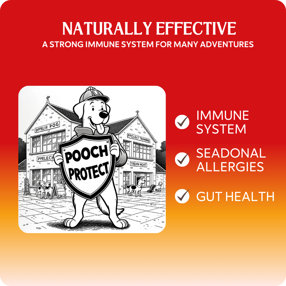 Pooch Protect (Coming Soon)