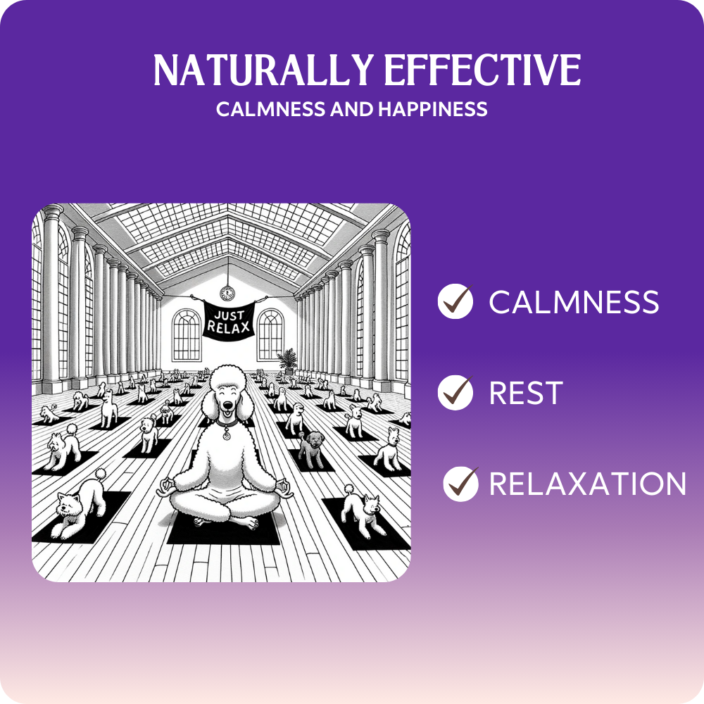Just Relax™ mit Entspannungs-Komplex